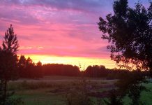 Nordiska Asa-samfundet är nu ett registrerat Trossamfund