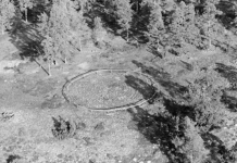 Tio viktiga platser att besöka: Rösaring, Upplands-Bro