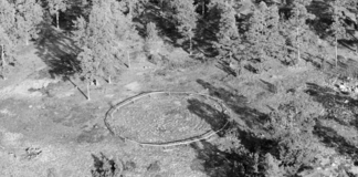 Tio viktiga platser att besöka: Rösaring, Upplands-Bro