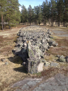10 viktiga platser att besöka: Snäckedal Gravfält, Misterhults socken i Oskarshamns kommun, Småland.