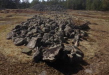 Tio viktiga platser att besöka: Snäckedal Gravfält