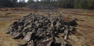 Tio viktiga platser att besöka: Snäckedal Gravfält