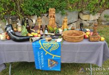 Utförda Blot 2019: Om helgens Sommarblot