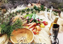 NAS ställer in öppna /offentliga blot Pressmeddelande-Blot-Corona