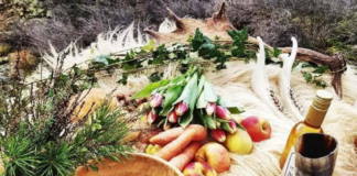 NAS ställer in öppna /offentliga blot Pressmeddelande-Blot-Corona