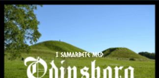 15% rabatt för NAS medlemmar på Odinsborg i Gamla Uppsala 15% rabatt för NAS medlemmar hos Odinsborg i Gamla Uppsala