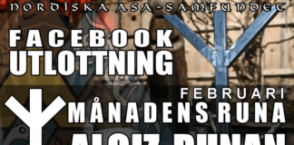Utlottning av månadens runa: Algiz Utlottning Månadens runa Februari 2022 Algiz