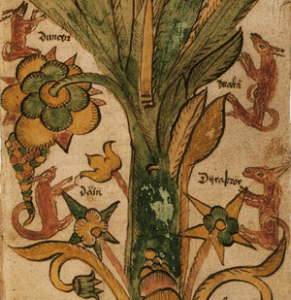Symbollexikon: Yggdrasil