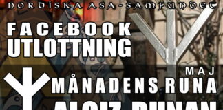 Utlottning av månadens runa: Algiz (Guld) Utlottning av månadens runa: Algiz Guldfärgad