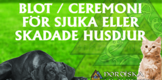 Blot / Ceremoni för sjuka eller skadade husdjur Blot / ceremoni för sjuka eller skadade husdjur