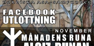 Utlottning av November-månadens runa: Algiz Utlottning av november-månadens runa: Algiz