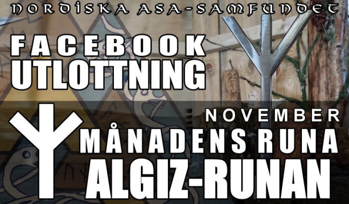 Utlottning av november-månadens runa: Algiz