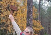 Lena Salomonsson – Ny Distriktblotsansvarig (DBA) i Distrikt Öst