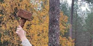 Lena Salomonsson – Ny Distriktblotsansvarig (DBA) i Distrikt Öst Lena Salomonsson - Ny Distriktblotsansvarig i NAS Distrikt Öst