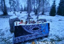 Utförda Blot 2023: Draupnir höll Alvablot vid Fagertofta gravfält, Fagertofta Draupnir höll Alvablot vid Fagertofta gravfält, Fagertofta