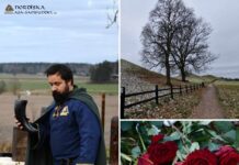 Utförda Ceremonier 2023: Begravningsceremoni vid Kungshögarna i Gamla Uppsala Utförda Ceremonier: Begravningsceremoni november 2023