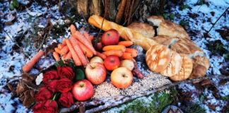 Utförda Blot 2024: Blotlaget Bifrost höll Midvinterblot vid Arkils tingstad i Vallentuna Utförda Blot 2024: Blotlaget Bifrost höll Midvinterblot vid Arkils tingstad i Vallentuna