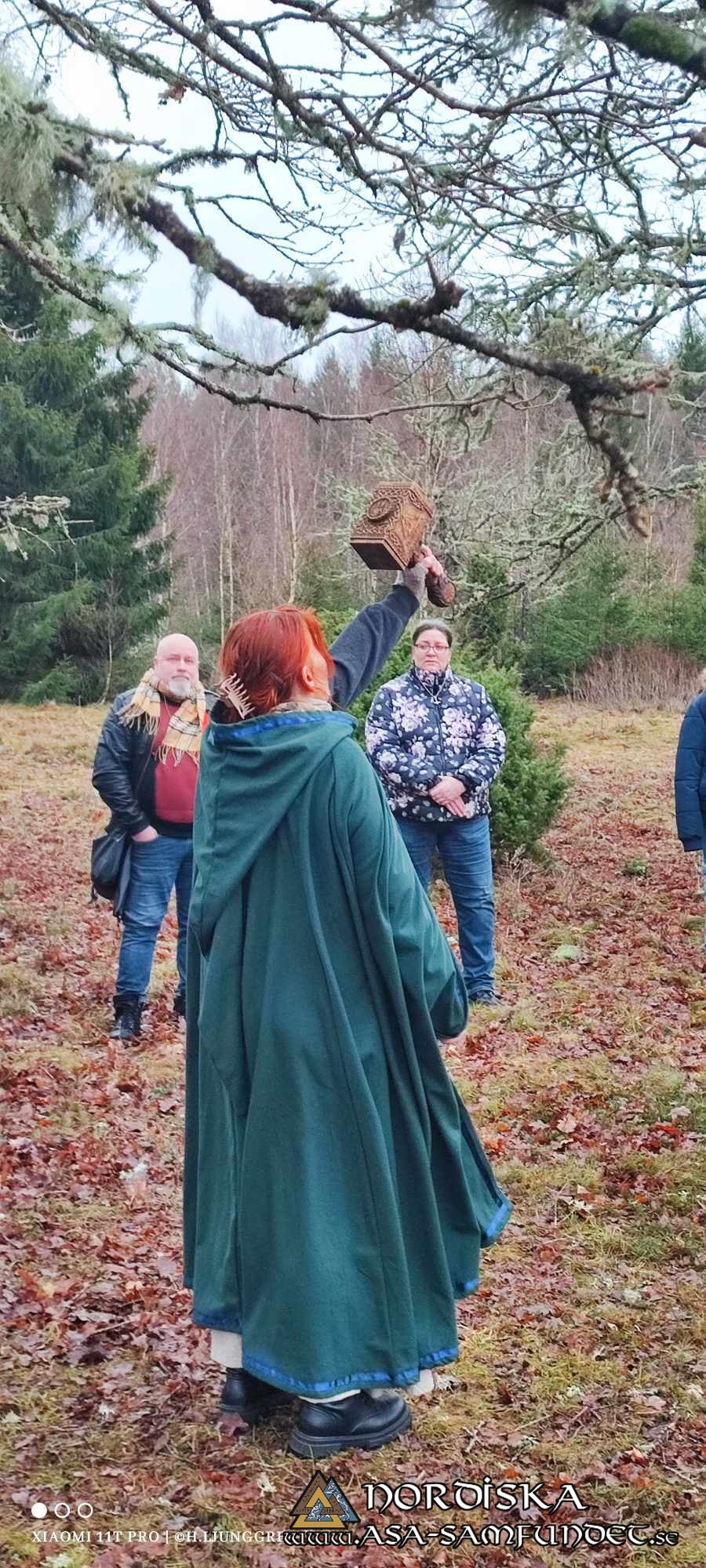 Utförda Blot 2024: Blotlaget Gungnir höll Midvinterblot vid Valeberg-Ryds gravfält i Skaraborg