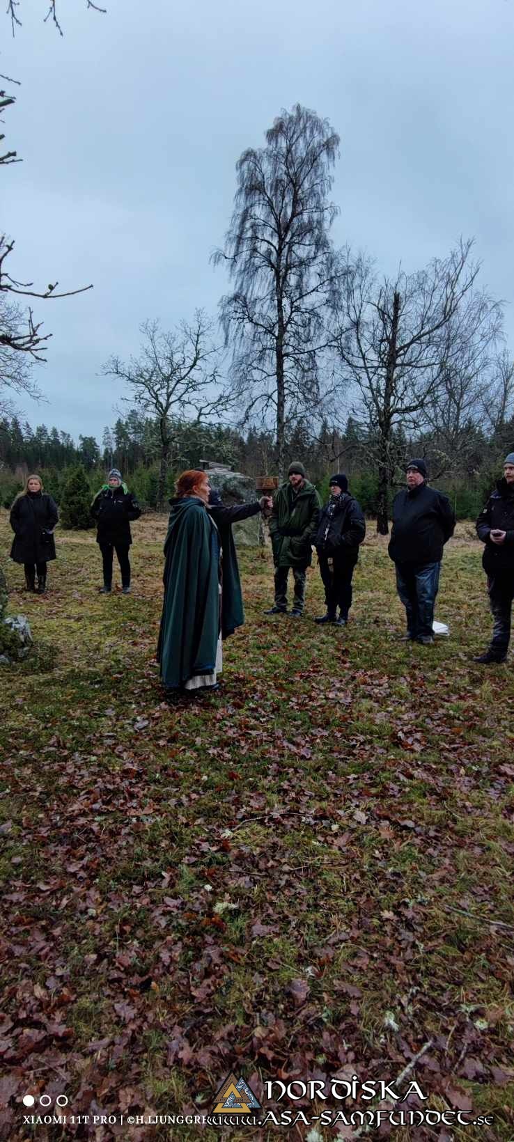 Utförda Blot 2024: Blotlaget Gungnir höll Midvinterblot vid Valeberg-Ryds gravfält i Skaraborg