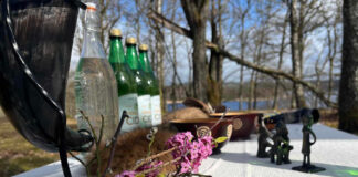 Utförda Blot 2024: Blotlag Gungnir höll Disablot 23 mars 2024