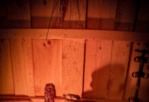 Utförda Blot 2024: Blotlag Idavallen höll Disablot 23 mars 2024 Utförda Blot 2024: Blotlag Idavallen höll Disablot 23 mars 2024