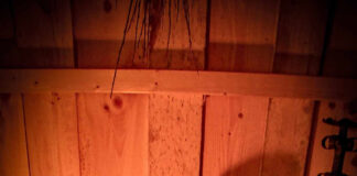 Utförda Blot 2024: Blotlag Idavallen höll Disablot 23 mars 2024