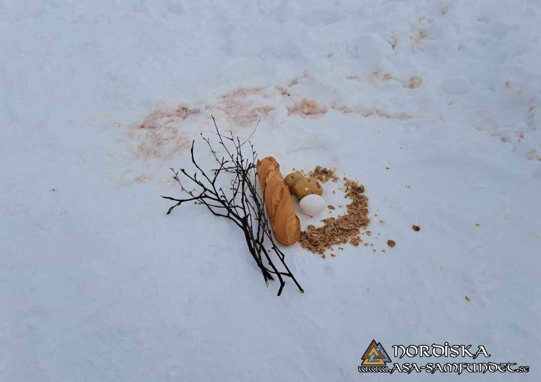 Utförda Blot 2024: Blotlag Vergelmer höll Disablot 23 mars 2024