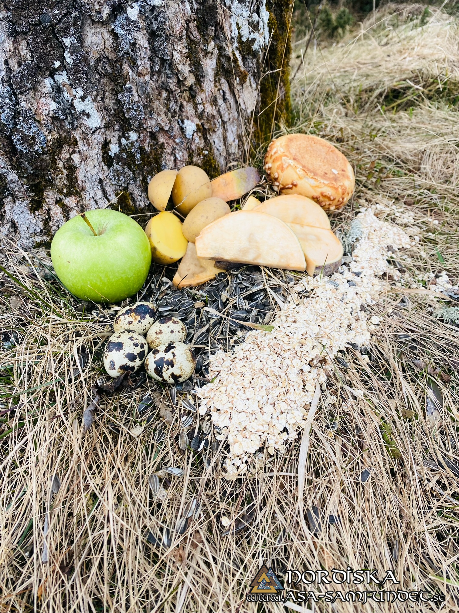 Utförda Blot 2024: Blotlag Ymer höll Disablot 24 mars 2024