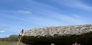 Utförda Blot 2024: Blotlag Draupnir höll Segerblot 20 April 2024