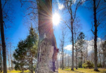 Utförda Blot 2024: Blotlag Idavallen höll Segerblot 27 April 2024 Utförda Blot 2024: Blotlag Idavallen höll Segerblot 27 April 2024