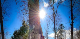 Utförda Blot 2024: Blotlag Idavallen höll Segerblot 27 April 2024 Utförda Blot 2024: Blotlag Idavallen höll Segerblot 27 April 2024