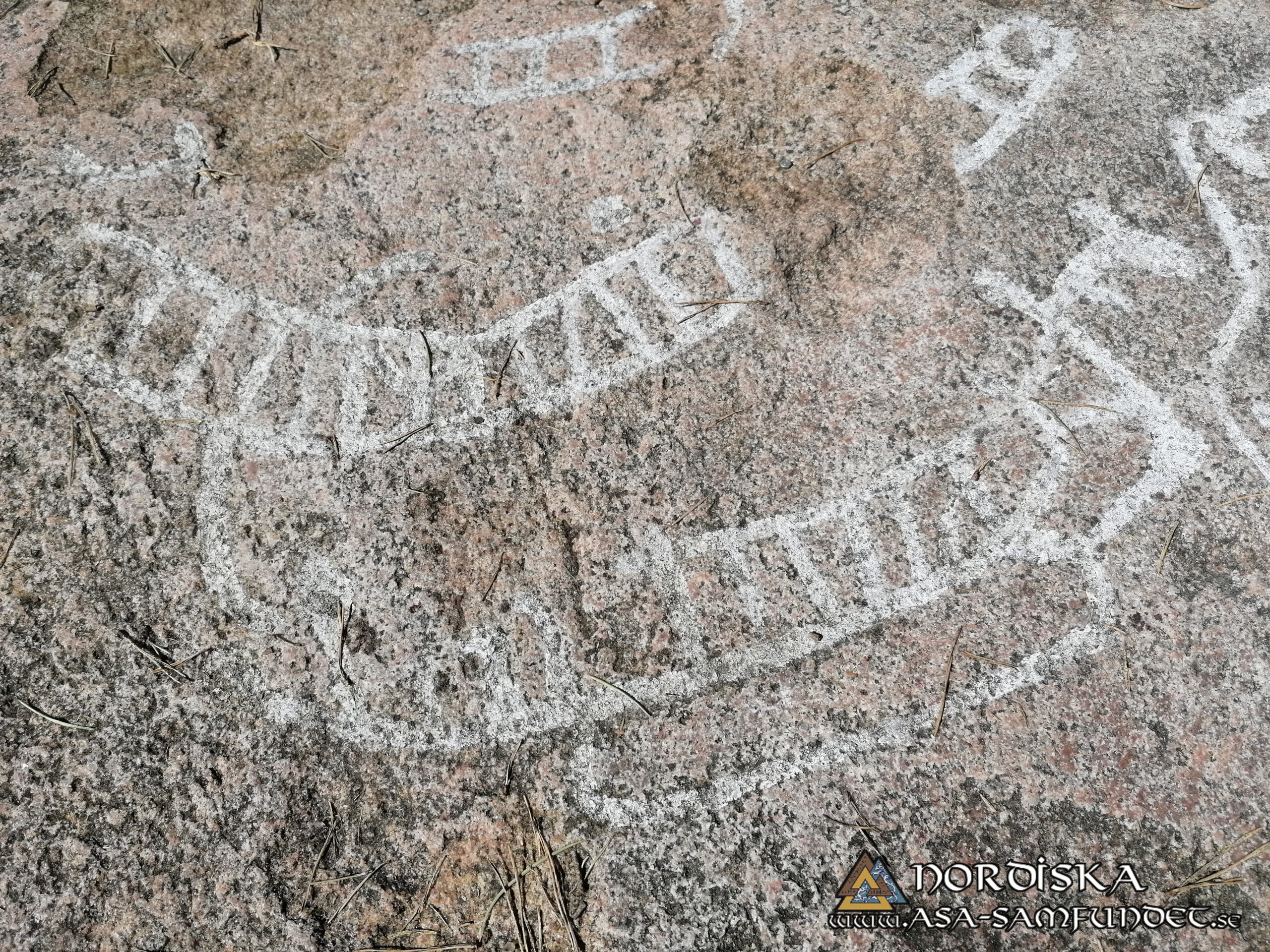 Utförda Blot 2024: Blotlag Yggdrasil höll Segerblot 27 April 2024 6 Blotlag Yggdrasil Segerblot 2024 51 scaled