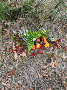 Utförda Blot 2024: Blotlag Draupnir höll Vinternätterblot 20 Oktober 2024