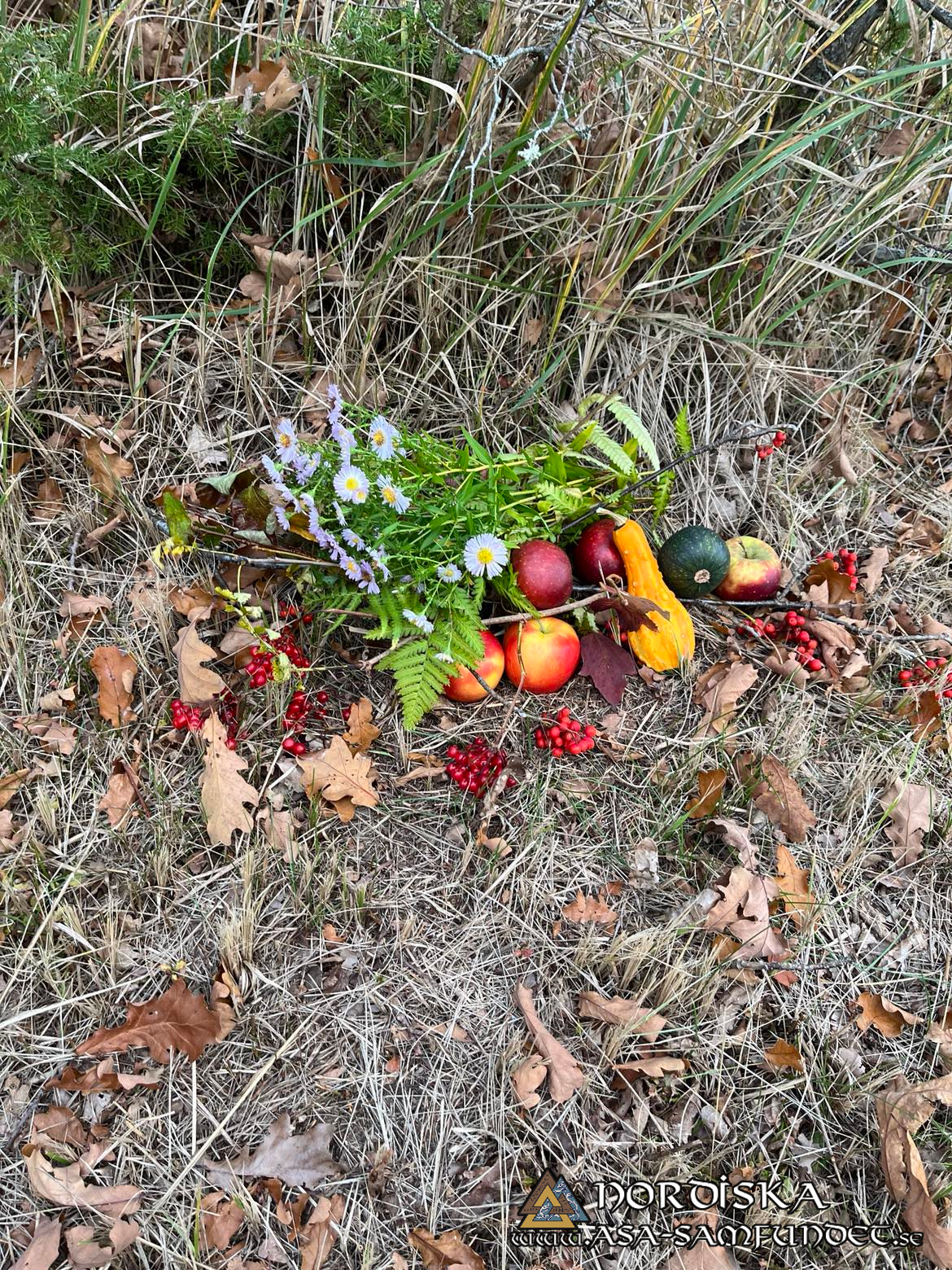 Utförda Blot 2024: Blotlag Draupnir höll Vinternätterblot 20 Oktober 2024