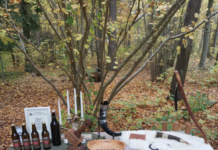 Utförda Blot 2024: Blotlag Sleipner höll Vinternätterblot 20 Oktober 2024 Utförda Blot 2024: Blotlag Sleipner höll Vinternätterblot 20 Oktober 2024