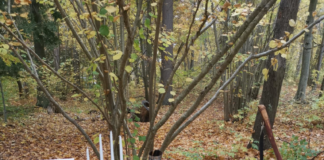 Utförda Blot 2024: Blotlag Sleipner höll Vinternätterblot 20 Oktober 2024 Utförda Blot 2024: Blotlag Sleipner höll Vinternätterblot 20 Oktober 2024