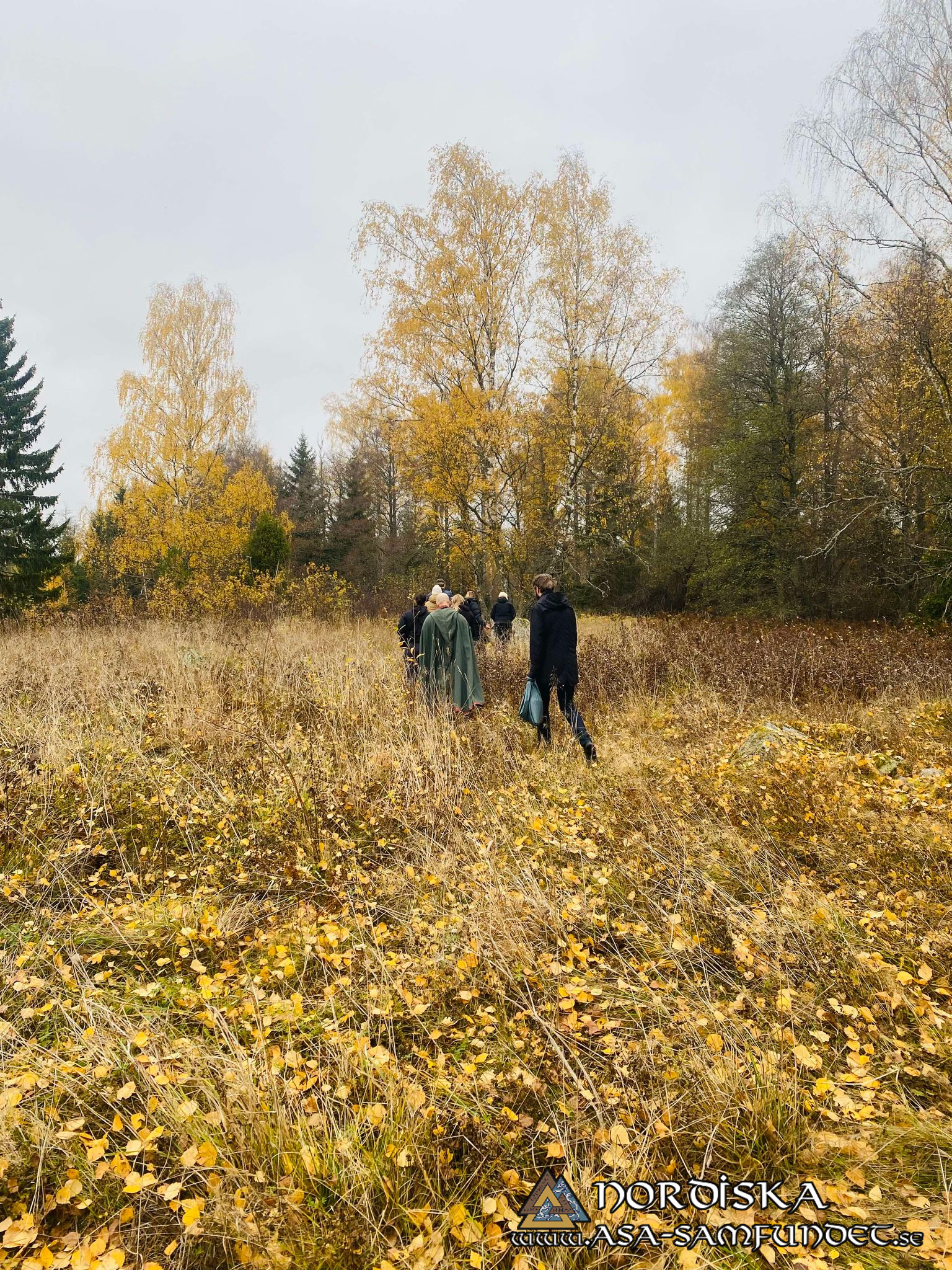 Utförda Blot 2024: Blotlag Ymer höll Vinternätterblot 20 Oktober 2024