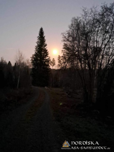 Utförda Blot 2024: Blotlag Draupnir höll Alvablot 16 November 2024