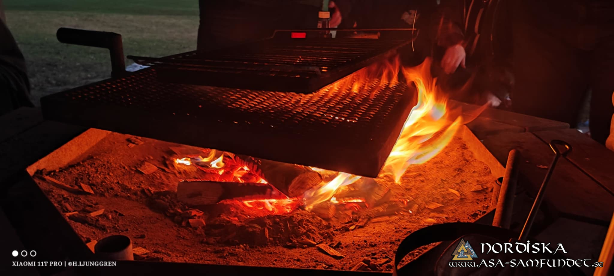 Utförda Blot 2024: Blotlag Gungnir höll Alvablotblot 16 November 2024