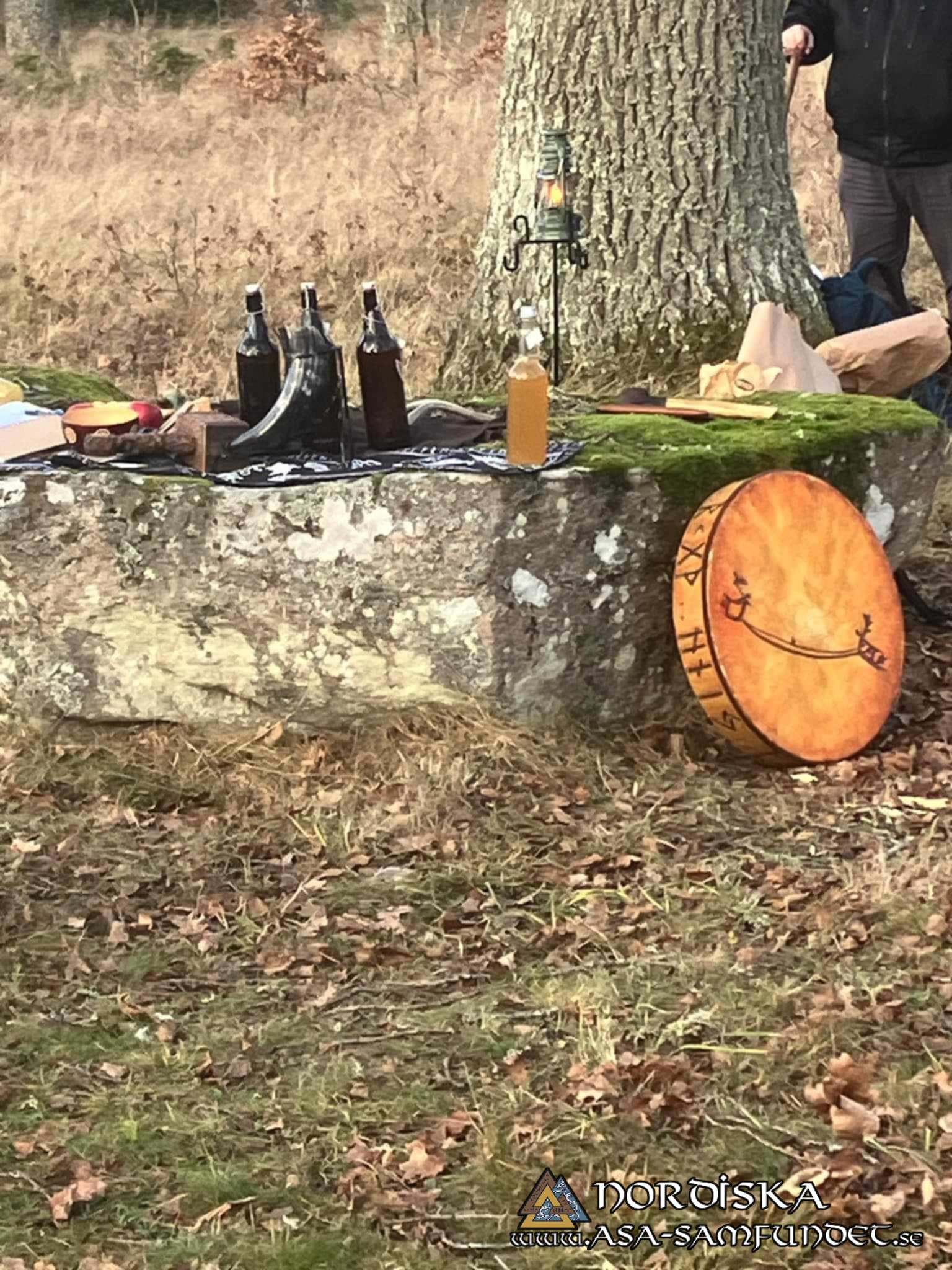 Utförda Blot 2024: Blotlag Gungnir höll Alvablotblot 16 November 2024