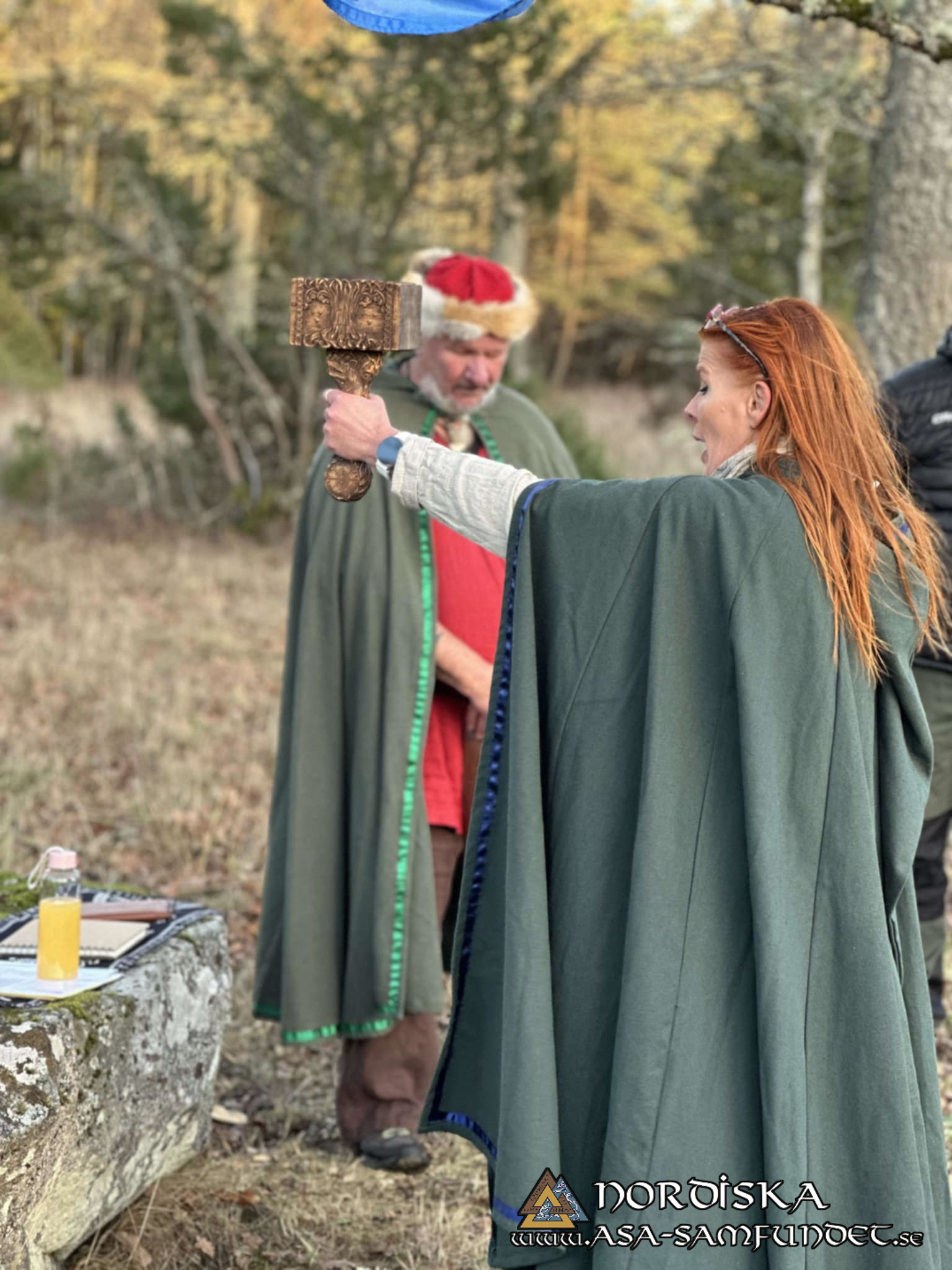 Utförda Blot 2024: Blotlag Gungnir höll Alvablotblot 16 November 2024