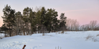 Utförda Blot 2025: Blotlag Sleipner höll Midvinterblot 12 Januari 2025 Utförda Blot 2025: Blotlag Sleipner höll Midvinterblot 12 Januari 2025