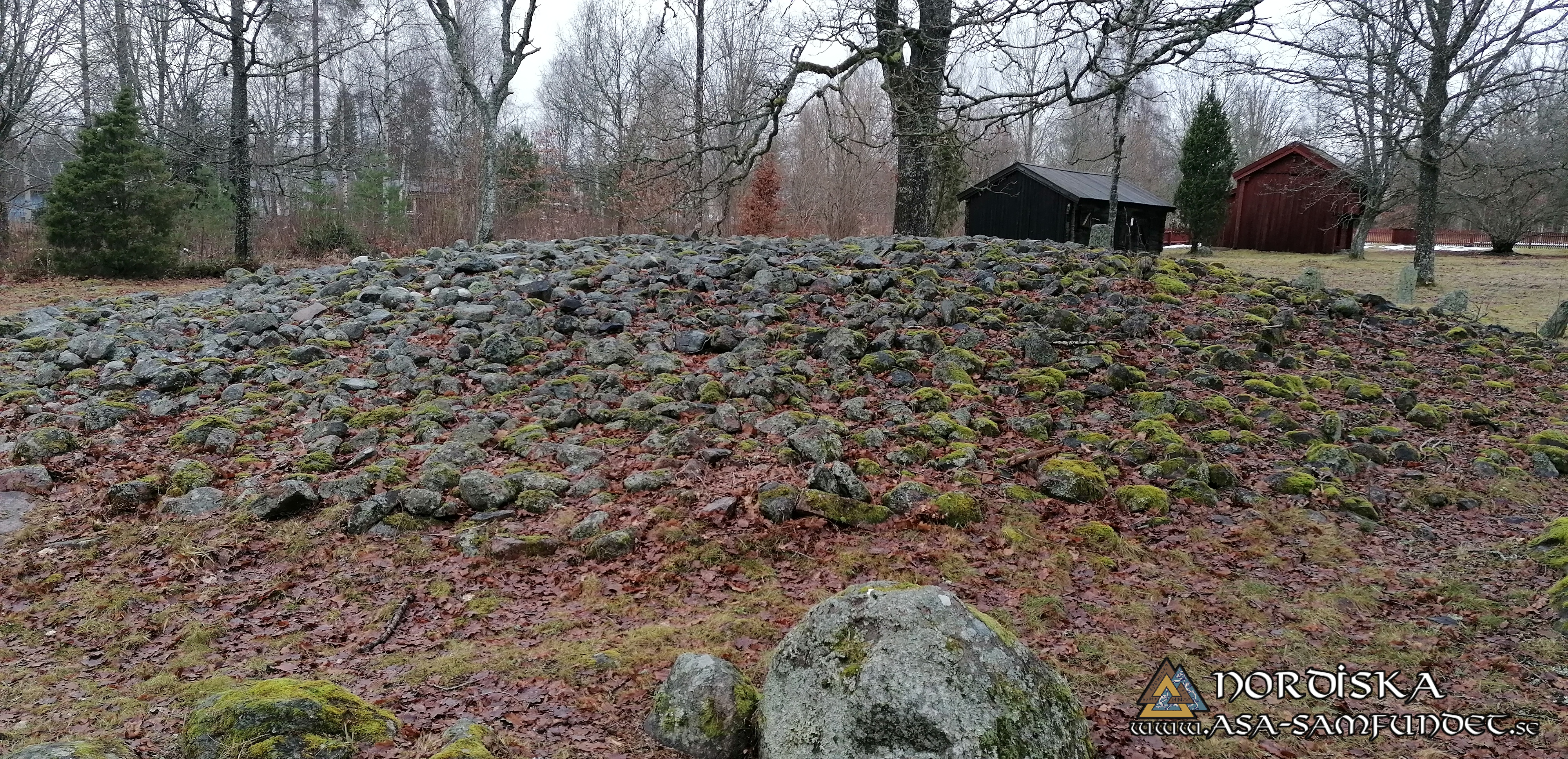 Utförda Blot 2025: Blotlag Yggdrasil höll Midvinterblot 12 Januari 2025