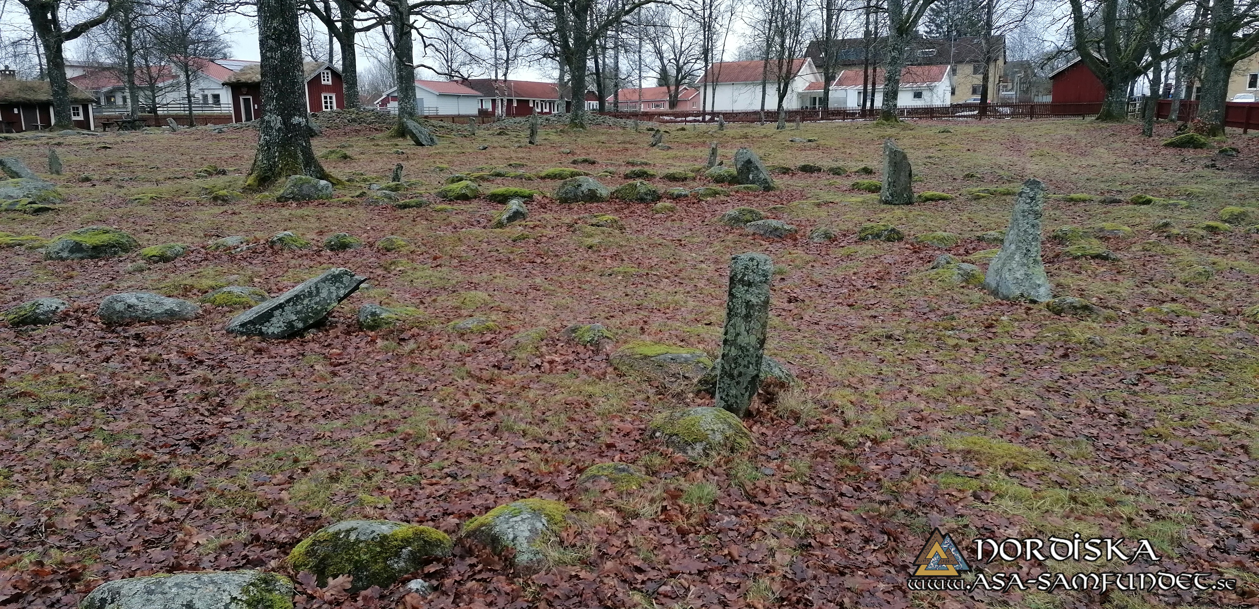 Utförda Blot 2025: Blotlag Yggdrasil höll Midvinterblot 12 Januari 2025