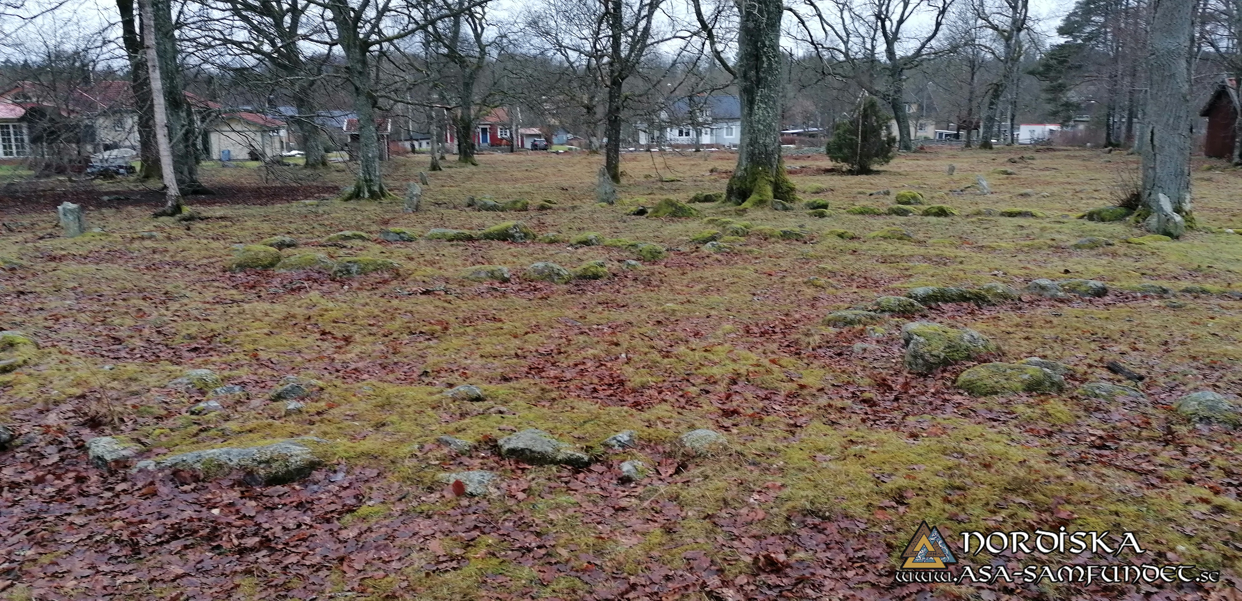 Utförda Blot 2025: Blotlag Yggdrasil höll Midvinterblot 12 Januari 2025