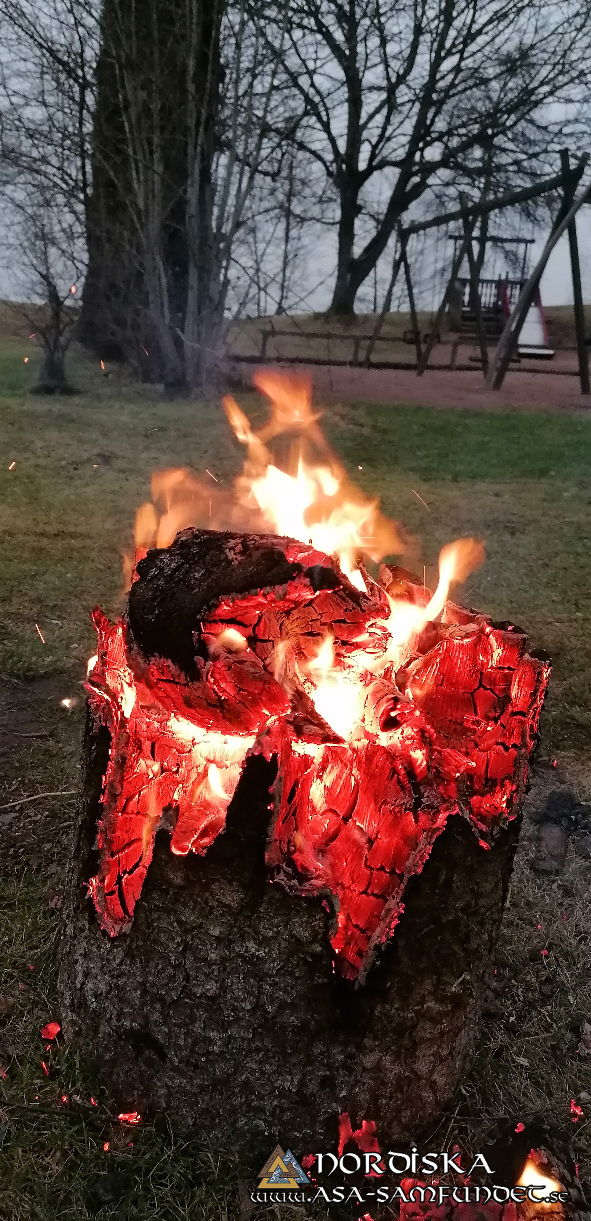 Utförda Blot 2025: Blotlag Yggdrasil höll Midvinterblot 12 Januari 2025