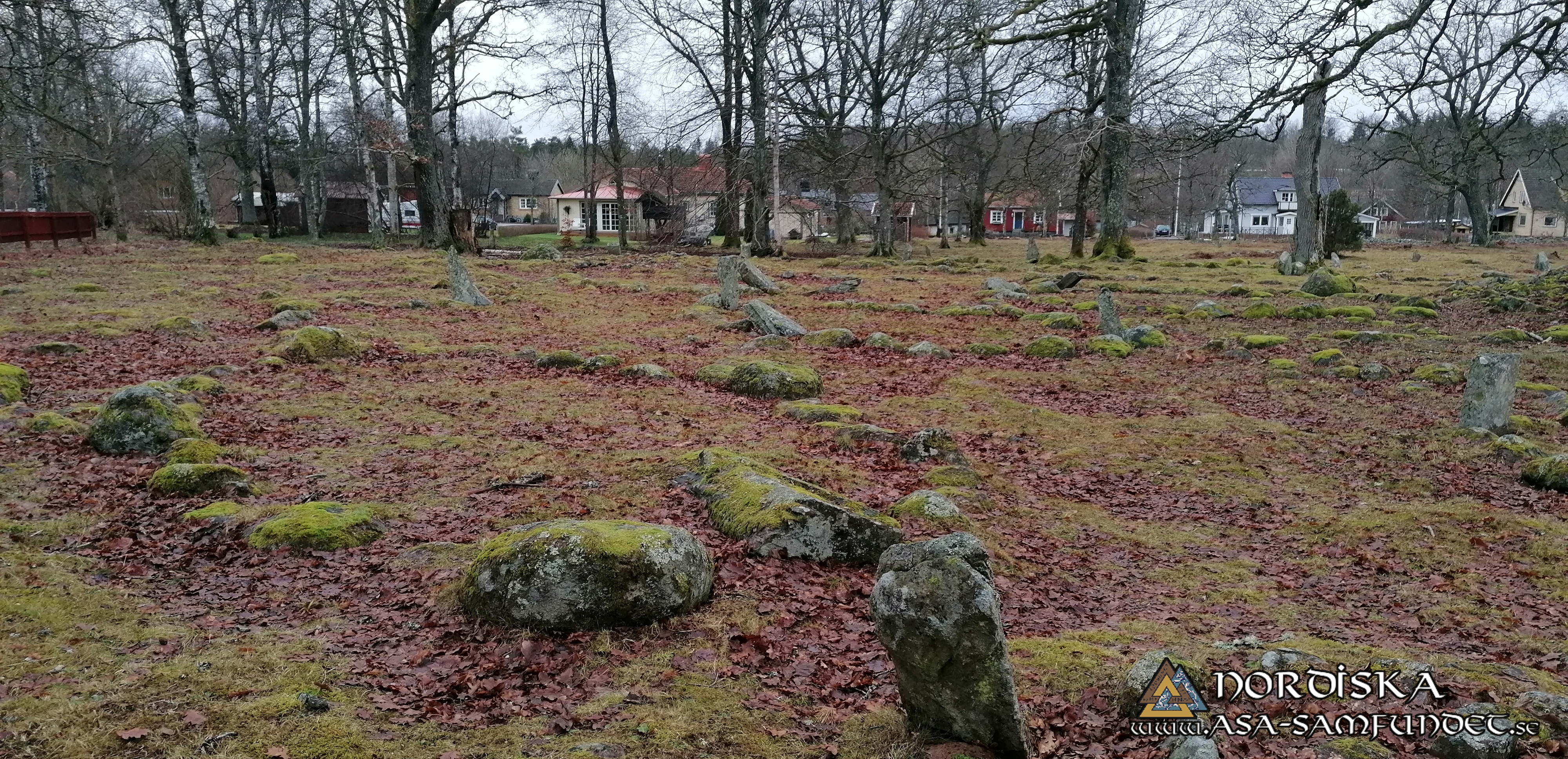 Utförda Blot 2025: Blotlag Yggdrasil höll Midvinterblot 12 Januari 2025