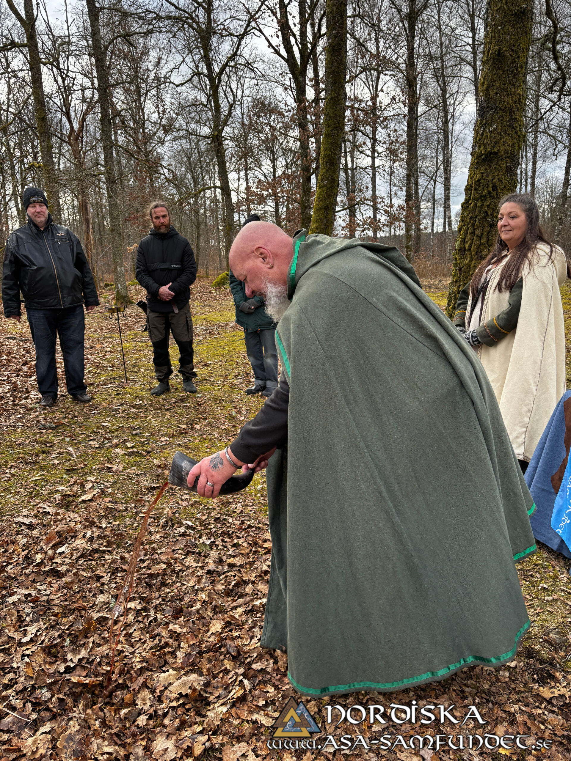 Utförda Blot 2025: Blotlag Gungnir höll Disablot 15 Mars 2025