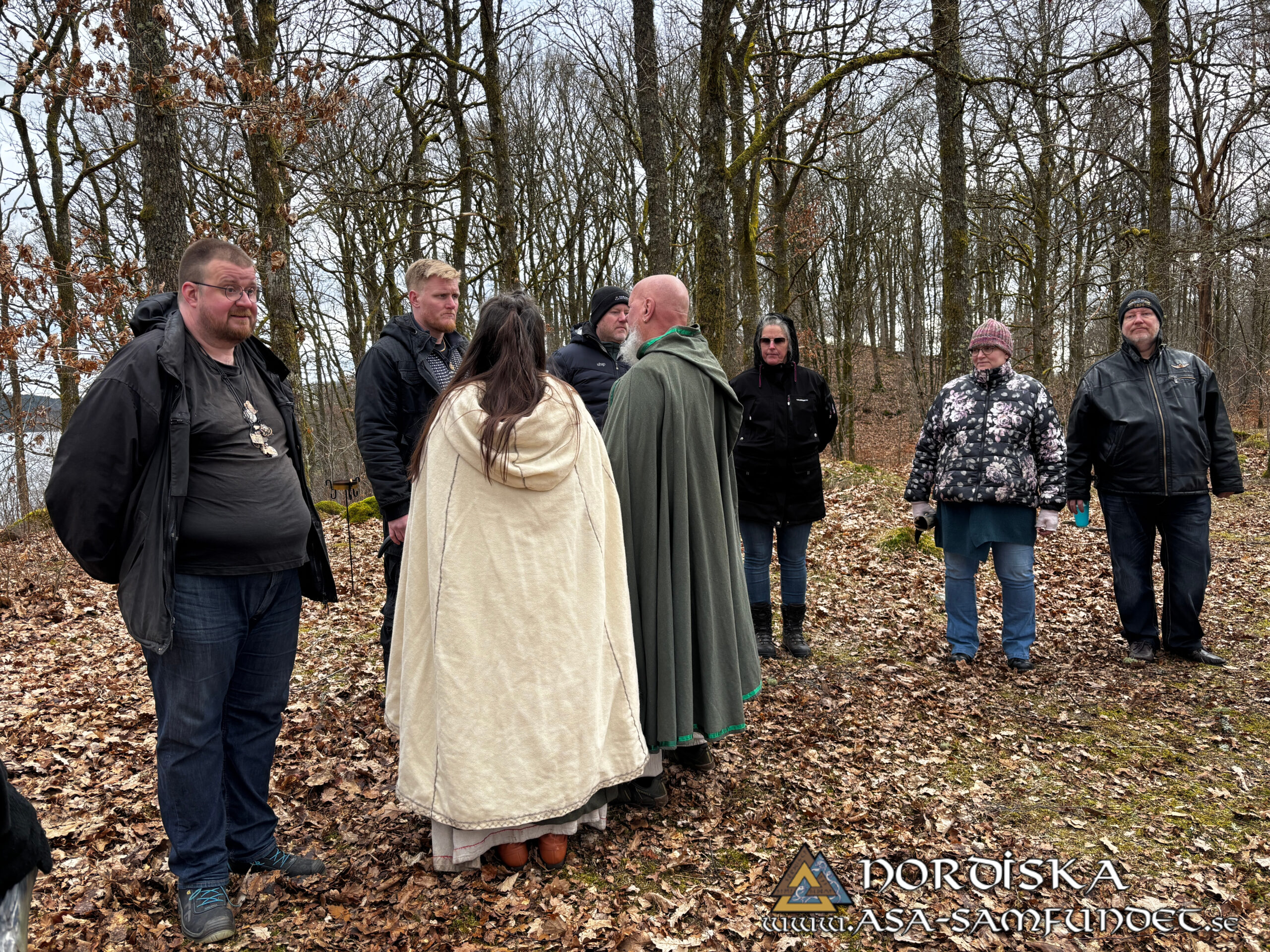 Utförda Blot 2025: Blotlag Gungnir höll Disablot 15 Mars 2025