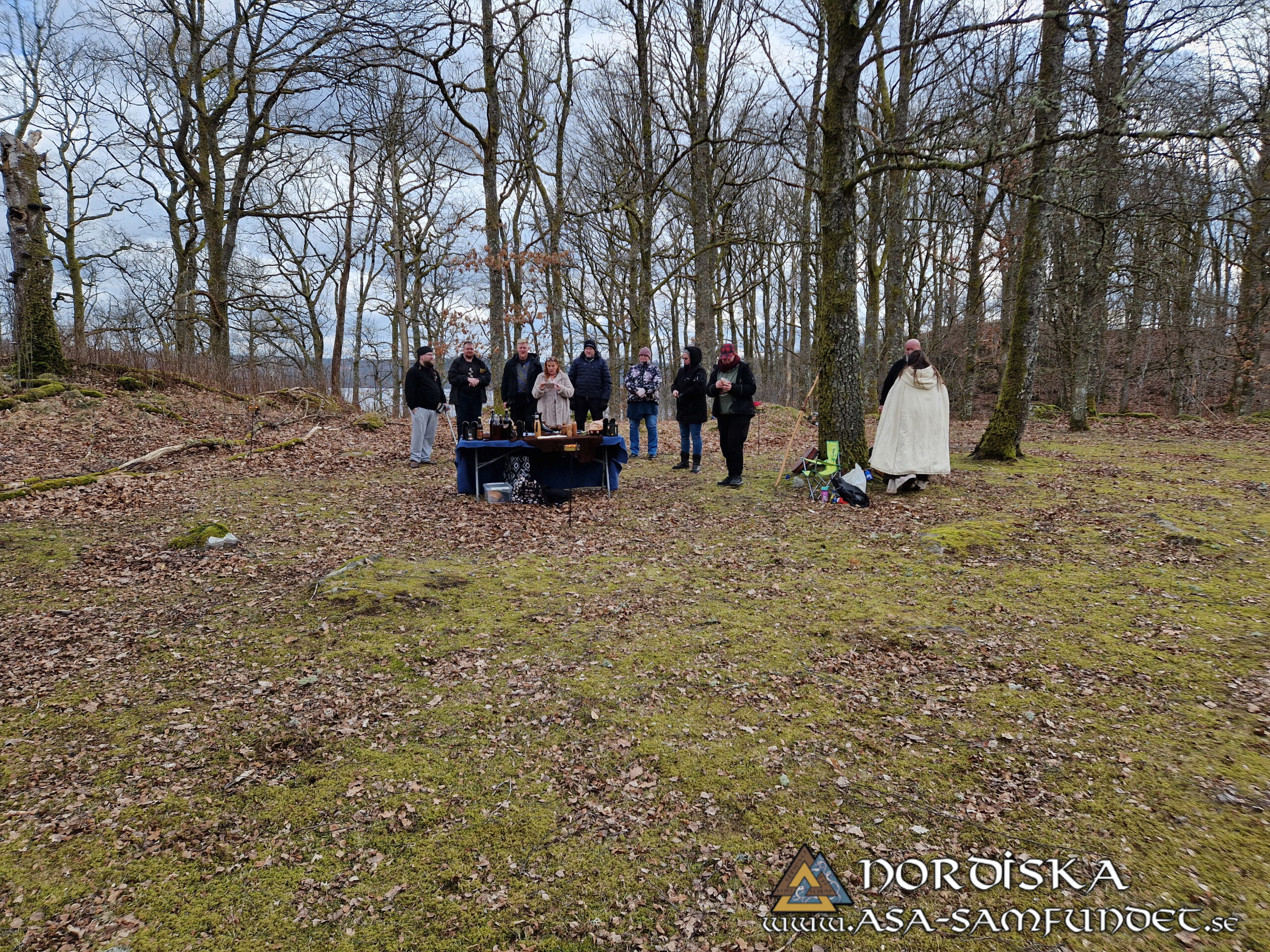 Utförda Blot 2025: Blotlag Gungnir höll Disablot 15 Mars 2025